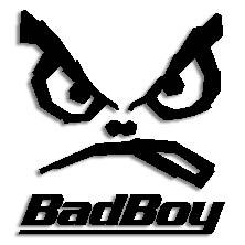 Items of brand BADBOY in BIENESRAICESDECOSTARICA