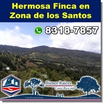Developer, this property is your opportunity for tourism or production in Zona de los Santos