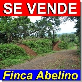 Finca Abelino - Beautiful property for sale